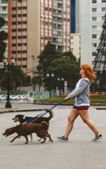 Passeador com cachorros